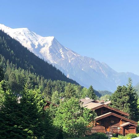 Residence La Verte 24- Aux Pieds Des Pistes! Chamonix Bagian luar foto