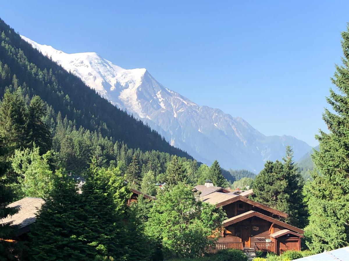 Residence La Verte 24- Aux Pieds Des Pistes! Chamonix Bagian luar foto